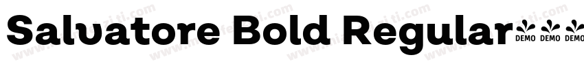 Salvatore Bold Regular字体转换